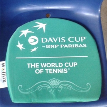 Sitpad Davis Cup